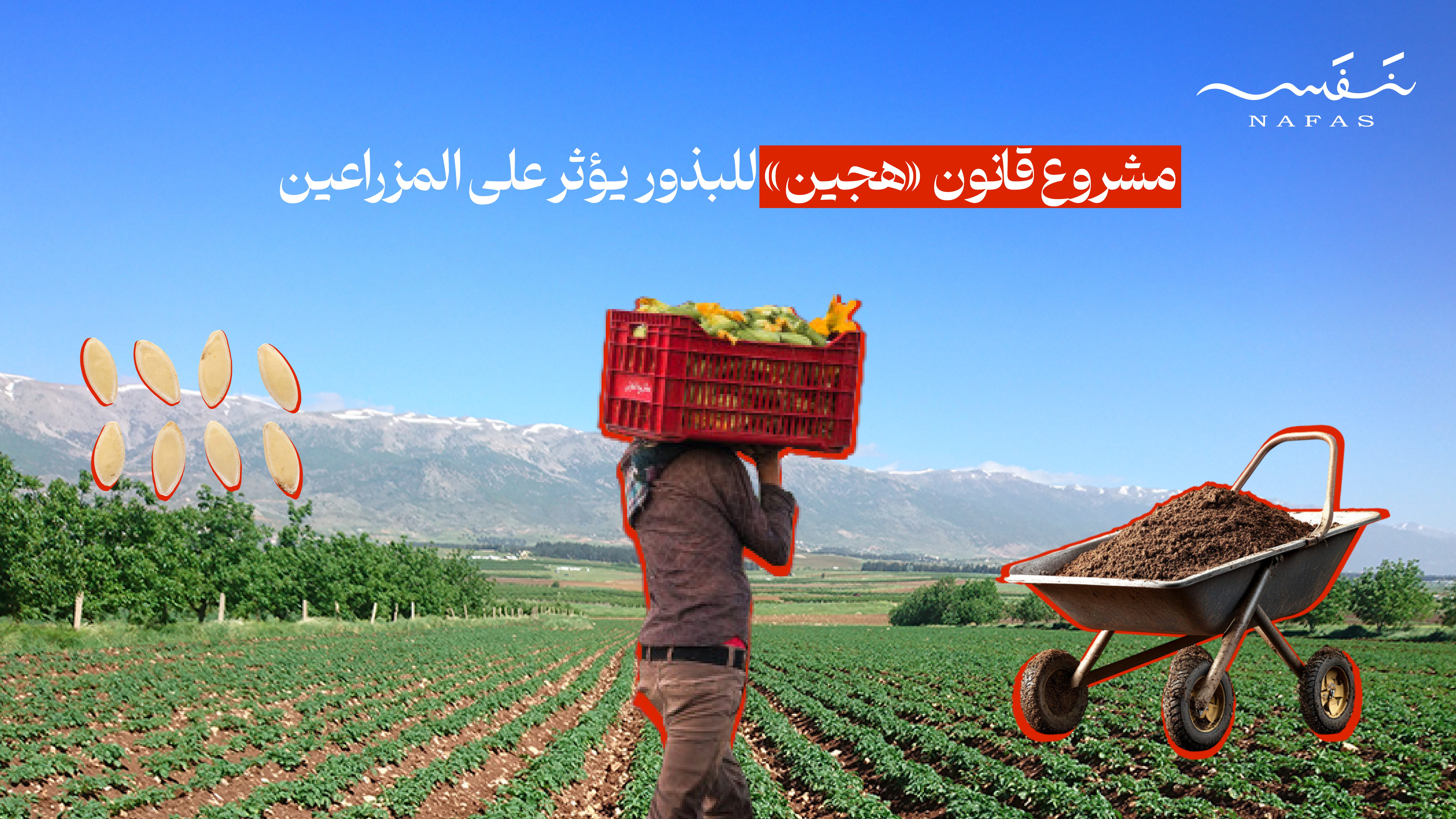 مشروع قانون «هجين» للبذور يؤثر على المزراعين